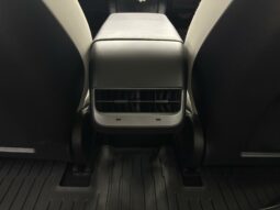 
										TESLA MODEL 3 Performance AWD full									