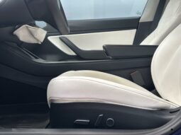 
										TESLA MODEL 3 Performance AWD full									