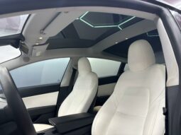 
										TESLA MODEL 3 Performance AWD full									