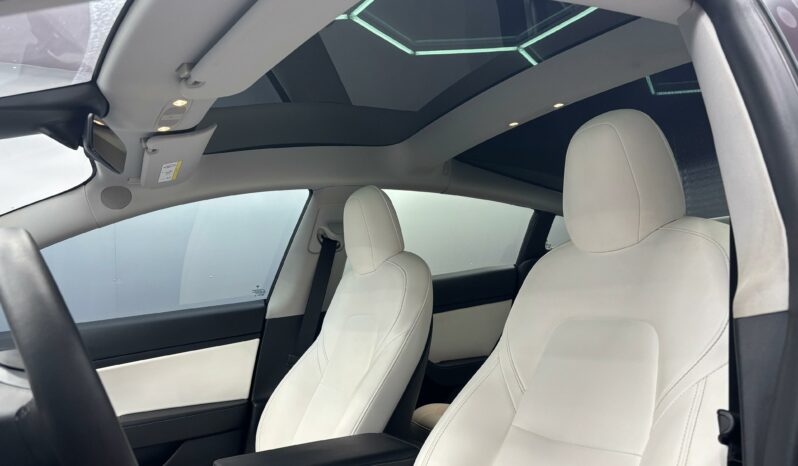 
								TESLA MODEL 3 Performance AWD full									