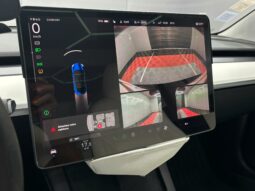 
										TESLA MODEL 3 Performance AWD full									