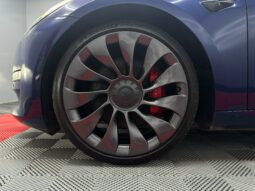 
										TESLA MODEL 3 Performance AWD full									