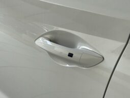 
										Hyundai i20N 204CH full									