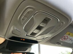 
										MG ZS Luxury 115kW full									