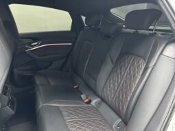 
										AUDI Q8 E-TRON SPORTBACK full									